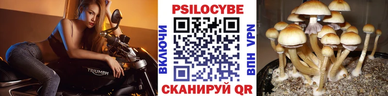 Галлюциногенные грибы мицелий Волчанск